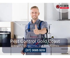 Reliable Pest Control Services in Pacific Pines