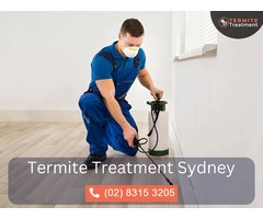 Comprehensive Termite Inspection in Sydney
