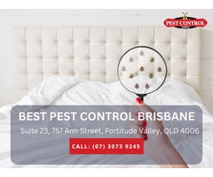 Trusted Pest Solutions in Narangba