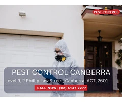 Effective Pest Control in Crace