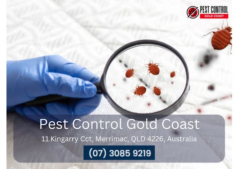 Comprehensive Pest Control in Luscombe