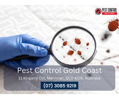 Comprehensive Pest Control in Luscombe