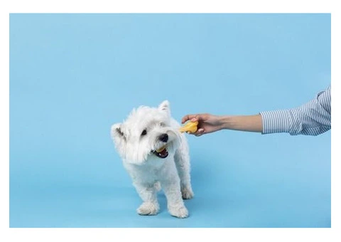 Improve Your Dog’s Health with LifeWise Biotic Liver Food