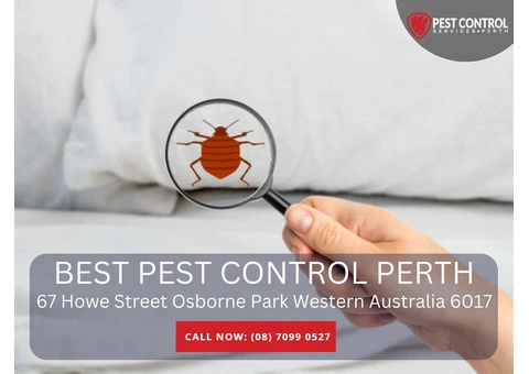 Trusted Pest Control in Port Kennedy