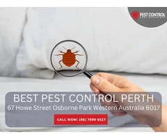 Trusted Pest Control in Port Kennedy