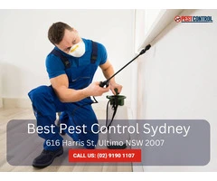 Professional Termite Removal Services in Sydney