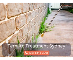 White Ant Treatment for Infestations in Sydney