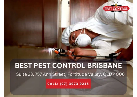 Effective Pest Control Services in Eatons Hill