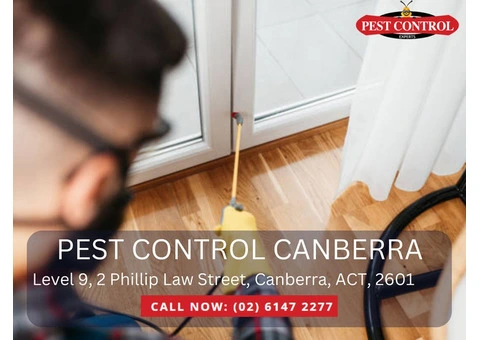 Pest-Free Living in Yass Made Easy