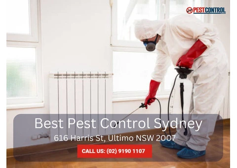 Reliable Pest Control for Commercial Buildings in Sydney