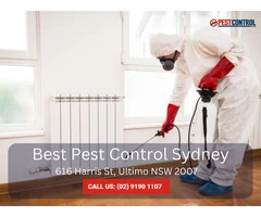 Reliable Pest Control for Commercial Buildings in Sydney