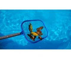 One Pool Care - Cleani & Maintenance Brighton