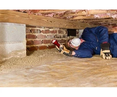 Termite Inspection Adelaide