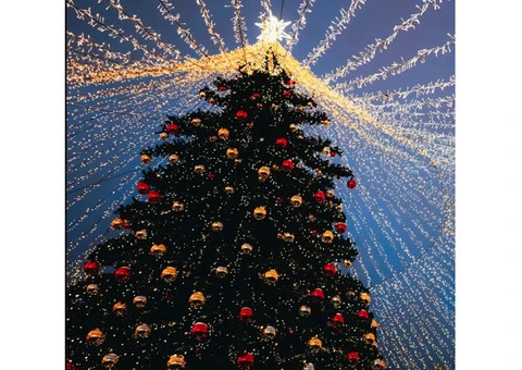 Dazzle Your Holidays with LED Christmas Lights