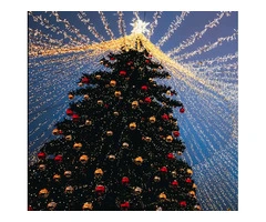 Dazzle Your Holidays with LED Christmas Lights