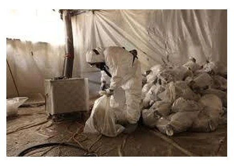 Professional Asbestos Removal Services by Drytech