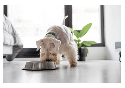 Will My Dog Like LifeWise Biotic with Turkey and Oats?