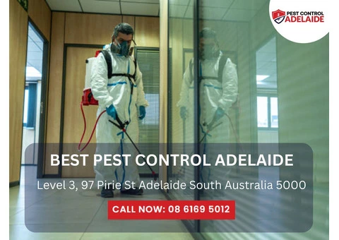 Affordable Bed Bug Removal in Adelaide