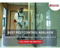 Affordable Bed Bug Removal in Adelaide