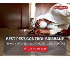 Cockroach Infestation Control