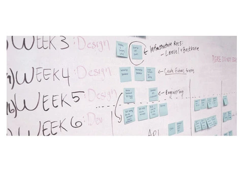 Expert Bid and Tender Management Services