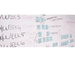 Expert Bid and Tender Management Services