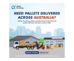 Pallet Delivery Service | Expert Handling & Logistics