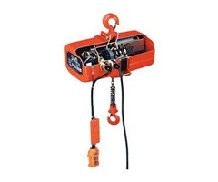Electric Chain Hoists provider in Pune