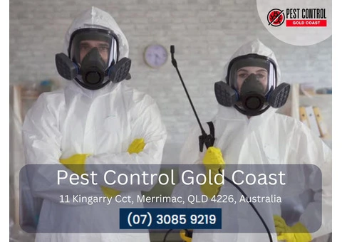 Termite Removal Gold Coast – Fast & Effective Solutions