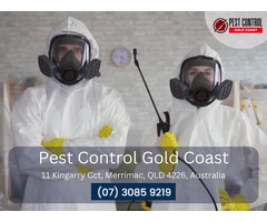 Termite Removal Gold Coast – Fast & Effective Solutions