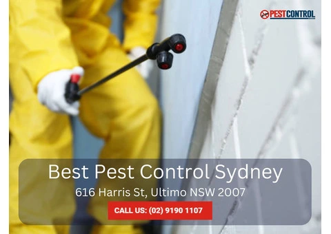 Bed Bug Control Sydney – Sleep Easy Again