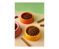 Should You Try LifeWise Reward Nibbles for Your Dog?