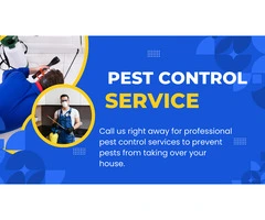 Fast, Reliable, and Affordable Pest Control Services in Northcote