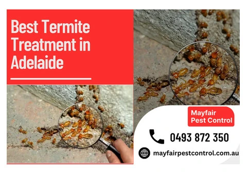 Best Termite Treatment Adelaide – Secure Your Property