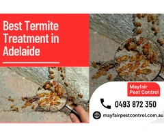 Best Termite Treatment Adelaide – Secure Your Property