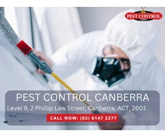 Silverfish Pest Control Canberra - Quick & Reliable