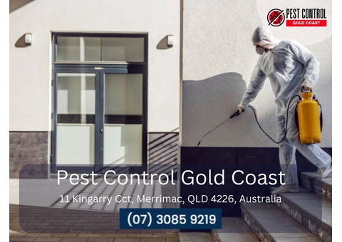 Flea Control Gold Coast - Safe & Effective Flea Treatments
