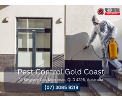 Flea Control Gold Coast - Safe & Effective Flea Treatments