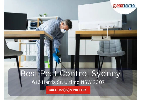 Pest Control for Commercial Buildings - Tailored Solutions