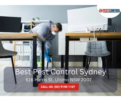Pest Control for Commercial Buildings - Tailored Solutions