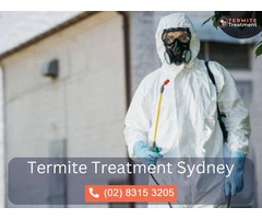 Termite Detection Sydney - Early Detection & Prevention