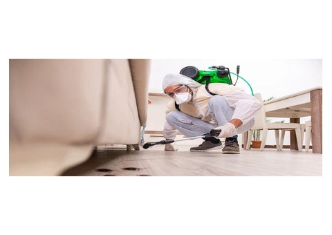 CBD Pest Control Melbourne