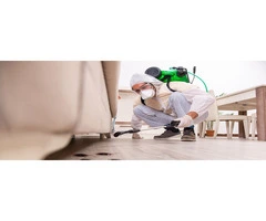 CBD Pest Control Melbourne