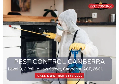 Reliable Residential Pest Management in Canberra