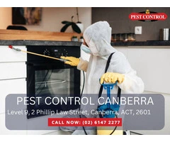 Reliable Residential Pest Management in Canberra