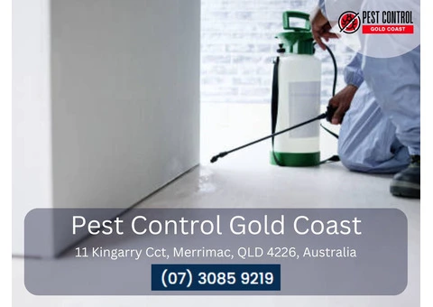 Expert Termite Control from the Gold Coast’s Leading Specialists