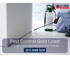Expert Termite Control from the Gold Coast’s Leading Specialists