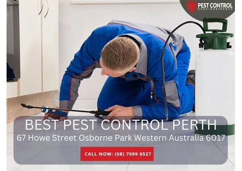 Effective Rodent Control Services in Perth