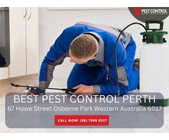 Effective Rodent Control Services in Perth