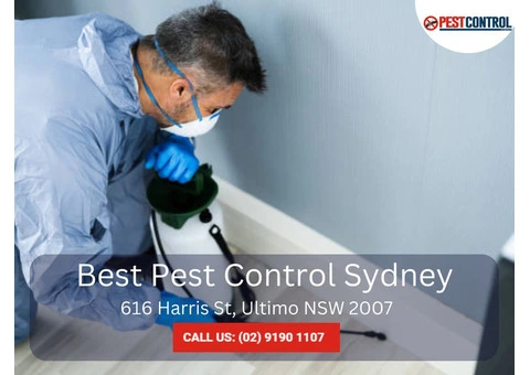 Reliable Commercial Pest Control Services in Sydney